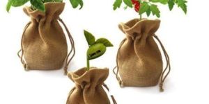 Jute Grow Bags