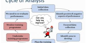 Research and Analysis