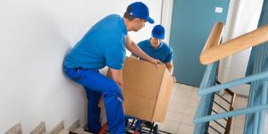 Packers And Movers Services House Holds Items Move