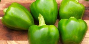 Organic Green Capsicum