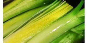Organic Leeks