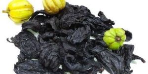 Garcinia Cambogia