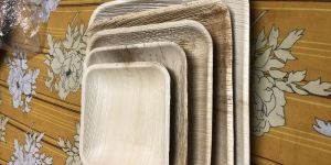 Export Plates 10,9,8,7,6 Square Plates