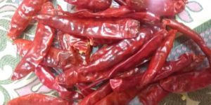 Gunter Red Chilli