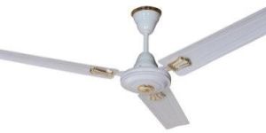 White Fan
