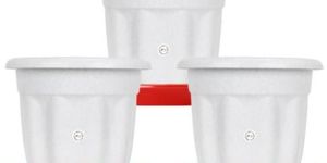 Victoria Pot with Bottom Plate