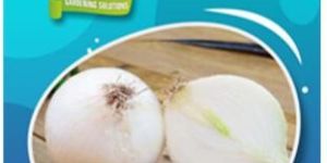 White Onion Seeds