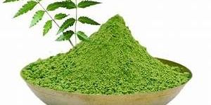 Neem Powder
