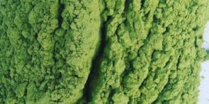 Wheatgrass Powder