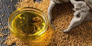 Yellow Mustard Oil