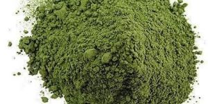 Wheat Grass Powder