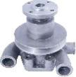 DX-571 Eicher NC 364 Tractor Water Pump Assembly