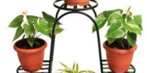 Garden Plant Stands