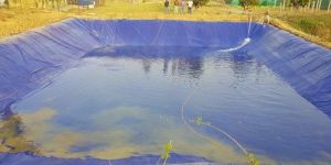 Pond Liner