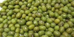 Green Mung Bean