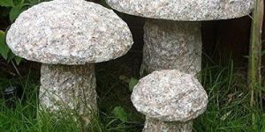 Basalt Stone Mushroom