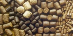 Fish Feed