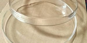 6 Inch Borosilicate Glass Petri Dish
