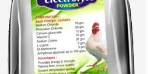Power Electrolyte Powder