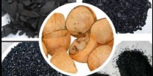 Coconut Shell Activated Carbon