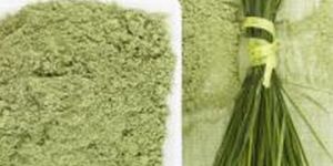 Wheat Grass Powder
