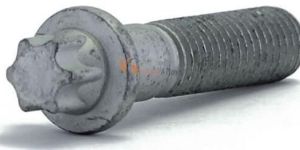 Torx Bolts