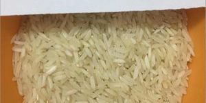 PR 11 Steam Non Basmati Rice