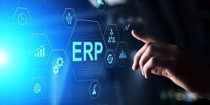 ERP Software Development Services