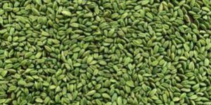 Green Cardamom Seeds