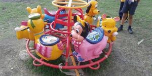 Toddler Merry Go Round
