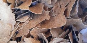 Paper Quality Groundnut Oil Cake