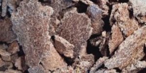 Fertilizer Quality Groundnut Oil Cake