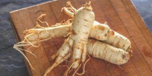 Panax Ginseng Extract