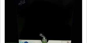 I Pure Domestic RO System