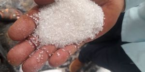 Sugar