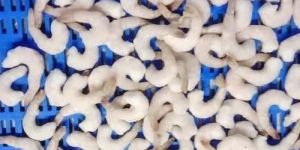 Frozen Vannamei Shrimp