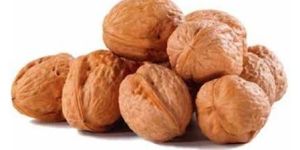 Dried Walnuts