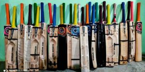 Cricket Bat