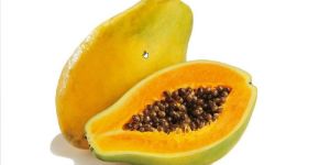 Fresh Papaya