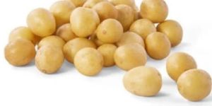 Fresh Potato