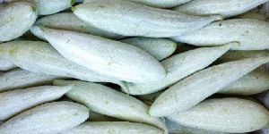 Fresh Snake Gourd