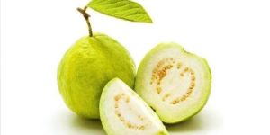 Fresh White Guava