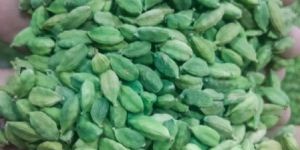 Green Cardamom.