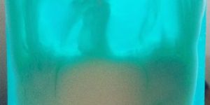 Rajnigandha Coconut Milk & Glycerine Soap