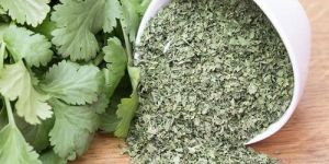 Dehydrated Coriander Leaves