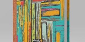 Chetak Plus Account Book