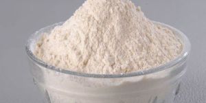 Dehydrated White Onion Powder