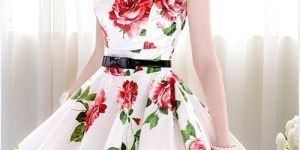 Ladies One Piece Dress