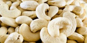 Cashew Nut W240