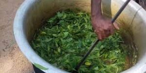 Agniastra Organic Pesticide